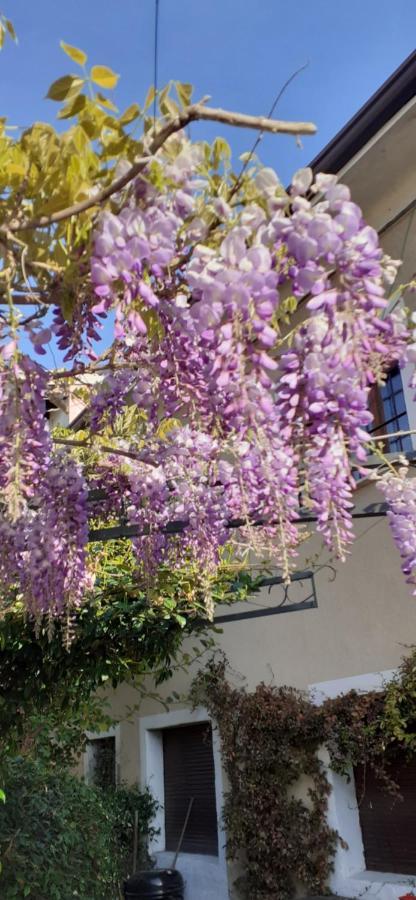 Residenza La Dimora Imperfetta Hotel Salionze Exterior foto